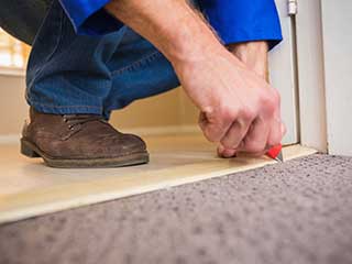 Affordable Carpet Cleaning Near Glendale