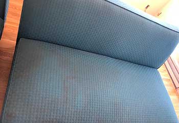 Dog Pet Stain Removal | Los Feliz | Glendale, CA Dog Pet Stain Removal | Los Feliz | Glendale, CA